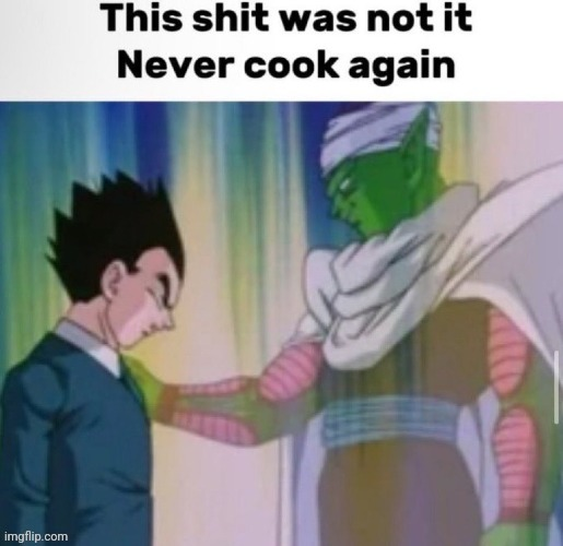 This shit was not it never cook again meme template