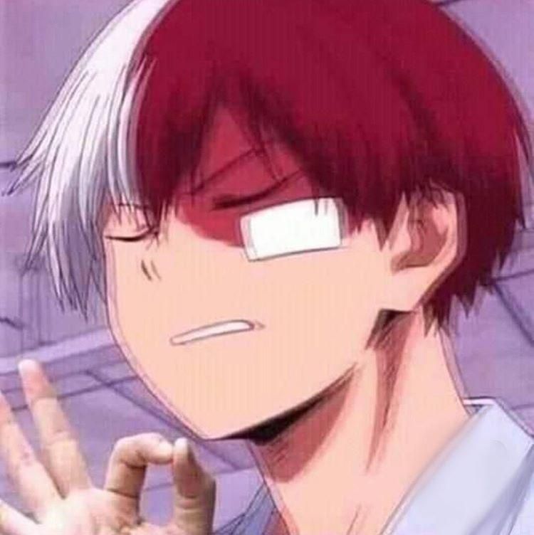 Todoroki  meme template