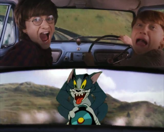 tom and harry potter  meme template