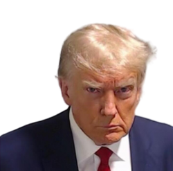 Trump mugshot meme template