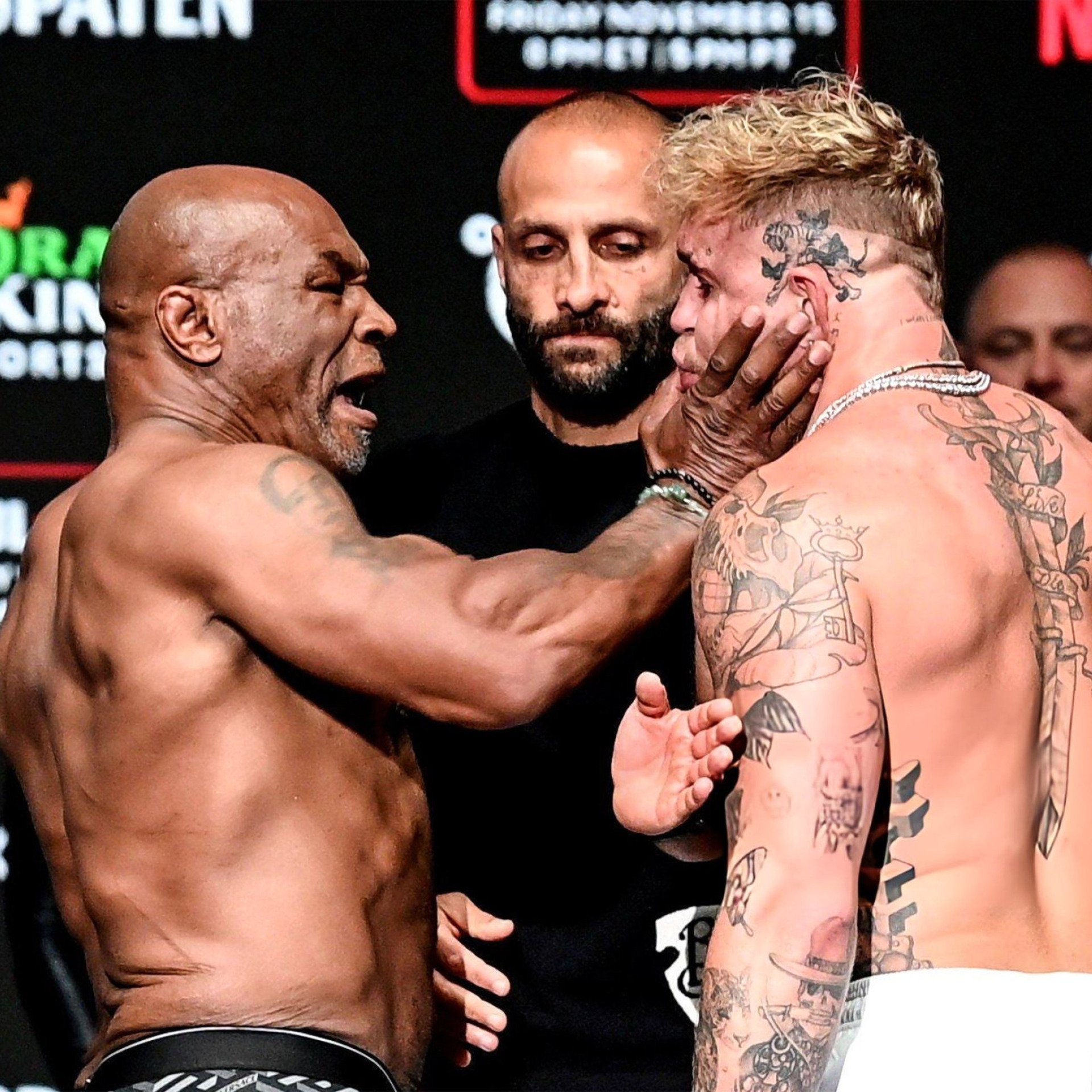 Tyson vs. Paul meme template