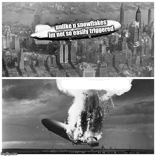 Unlike you snowflakes i'm not so easily triggered  meme template