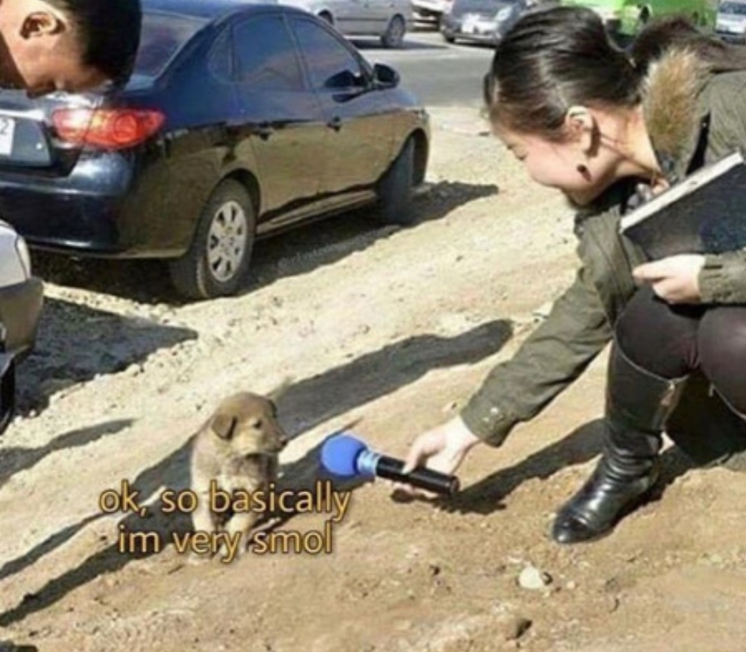 very smol  meme template