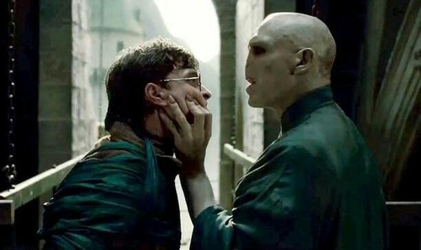 Voldemort and Harry  meme template