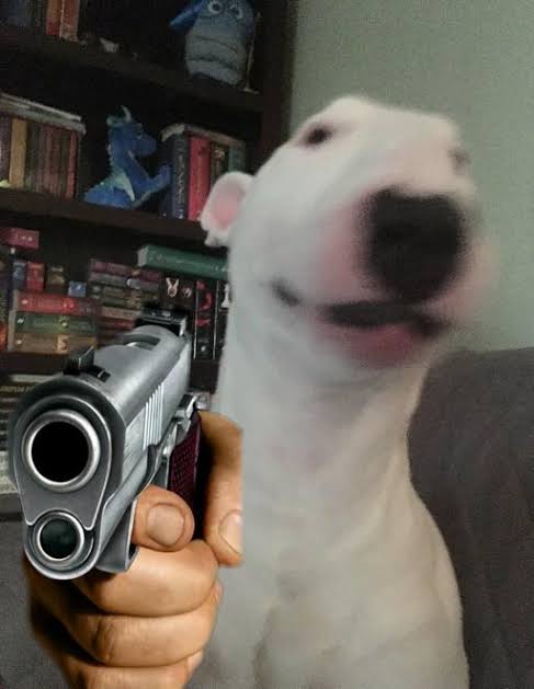 Walter holding gun  meme template