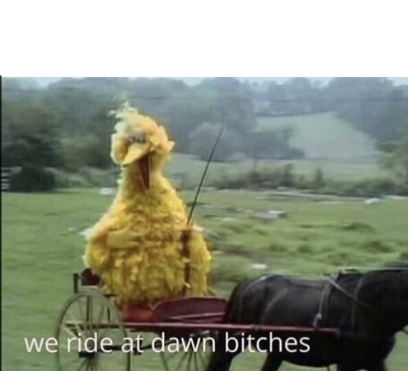 We ride at dawn bitches  meme template