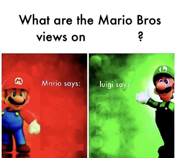 What are the mario bros views on: ?  meme template