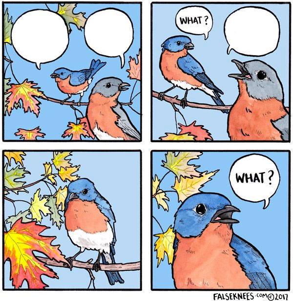 What bird  meme template