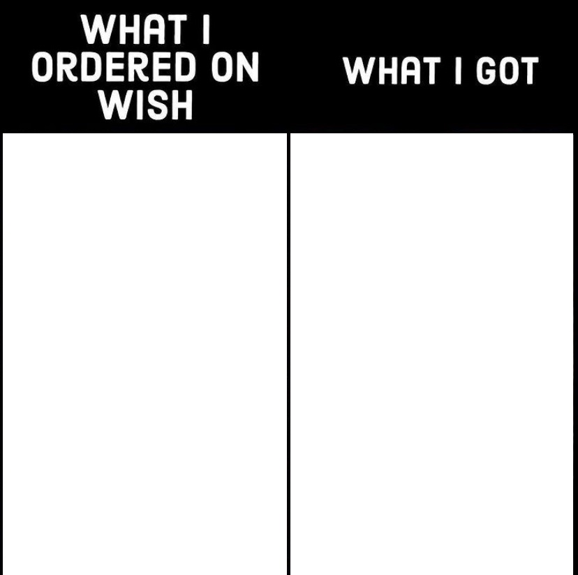 what I ordered on wish and what I got  meme template