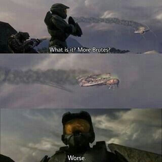 What is it? More Brutes?  meme template
