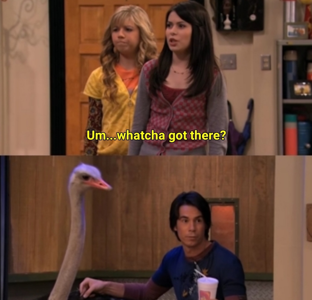 Whatcha got there  meme template
