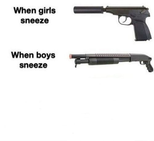 When girls sneeze, when boys sneeze  meme template