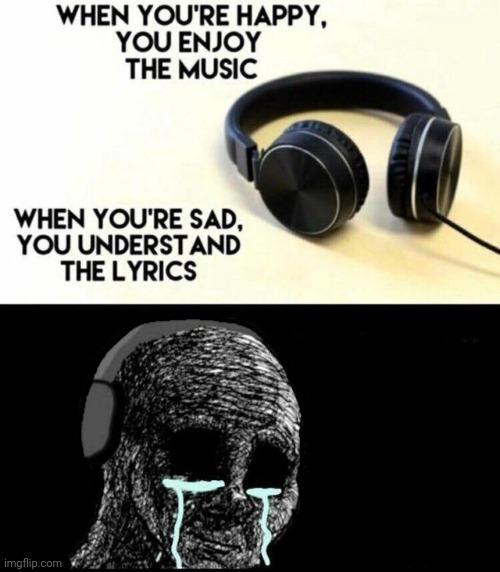 When you're happy, you enjoy the music  meme template