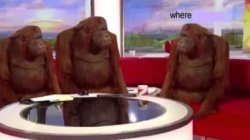 Where banana blank meme template