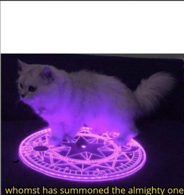 Who has summoned the almighty one  meme template