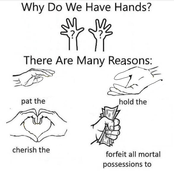 Why Do We Have Hands  meme template