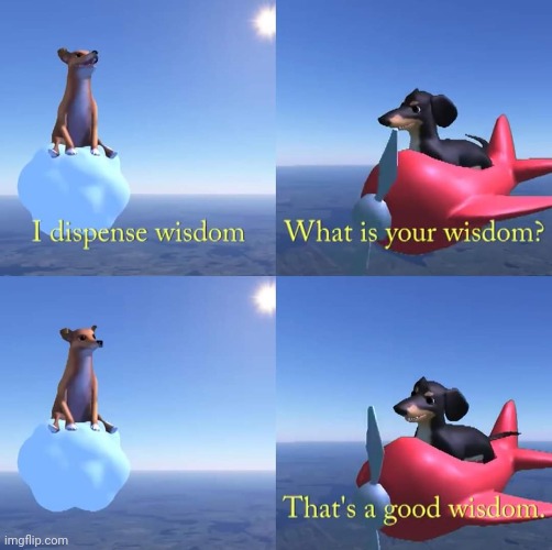 Wisdom dog  meme template