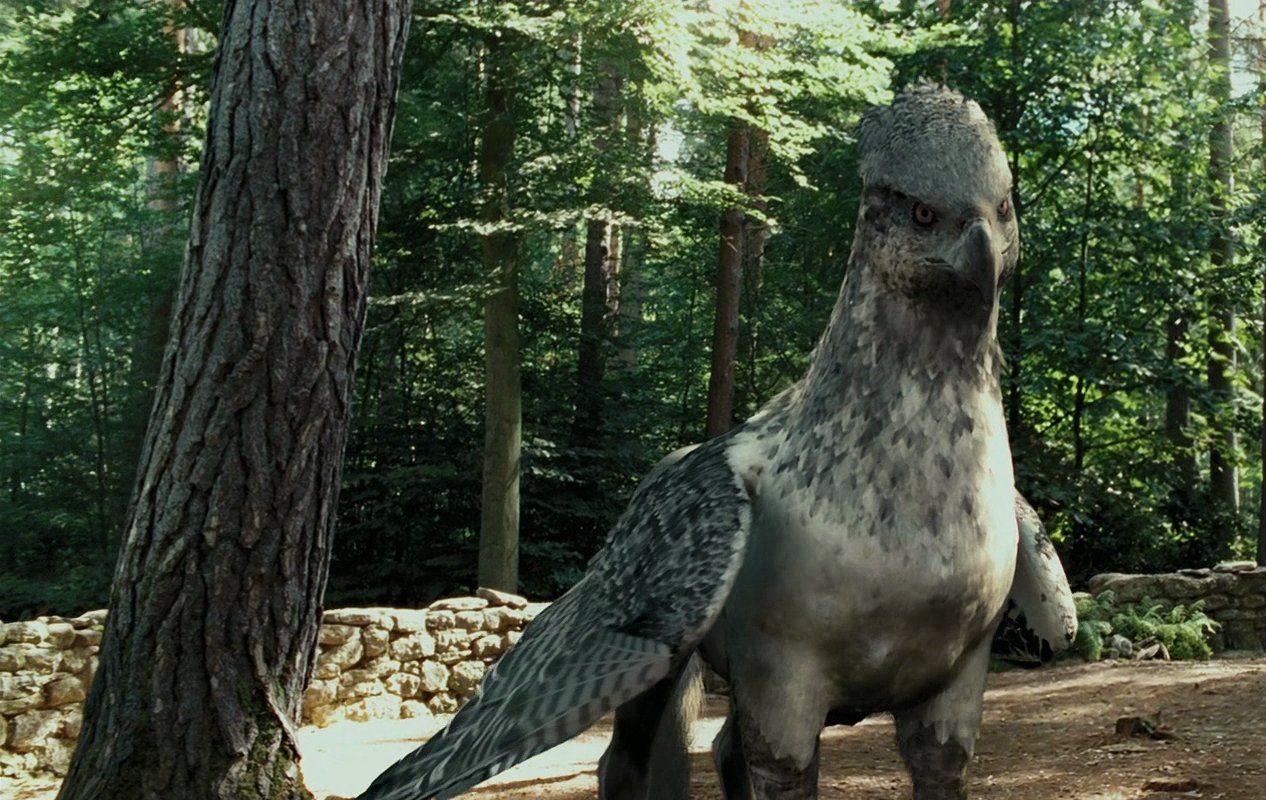 Wise Buckbeak  meme template