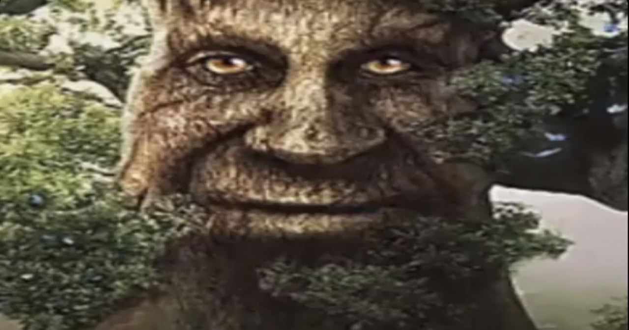 Wise mystical tree  meme template