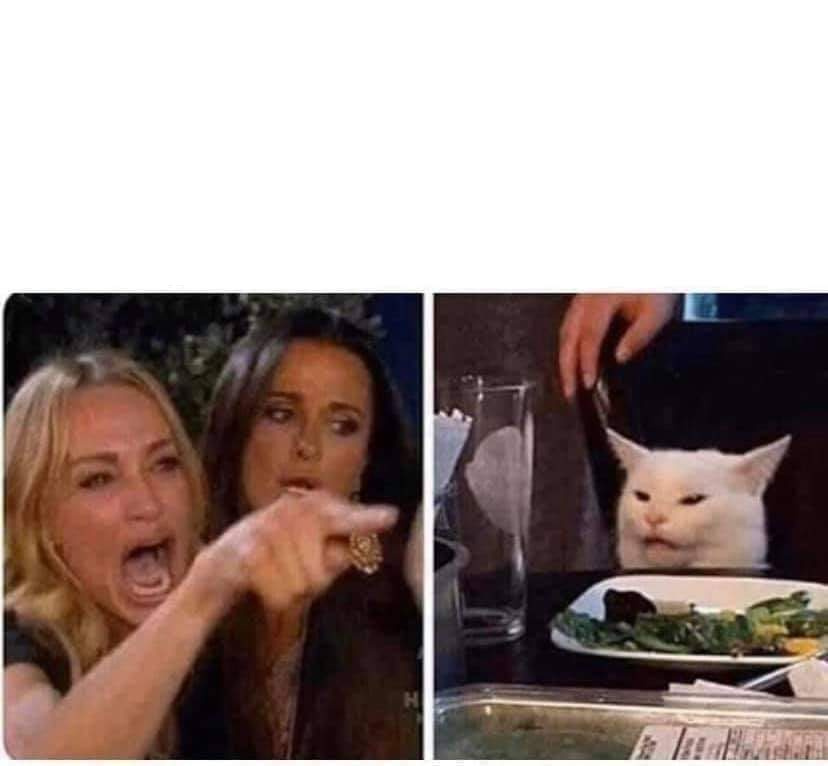 Woman Argues With Cat  meme template