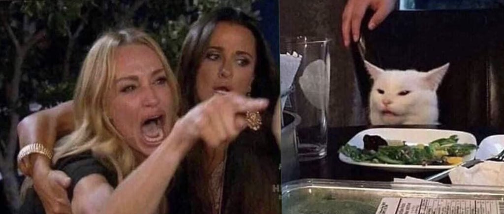 woman yelling at cat  meme template