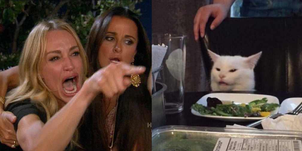 Woman yelling at cat  meme template