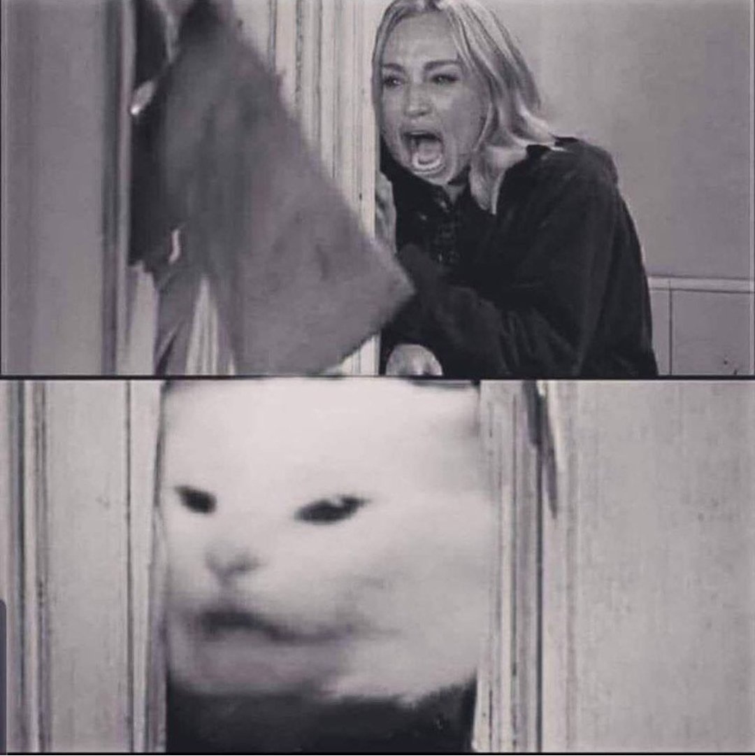 woman yells are shining  meme template