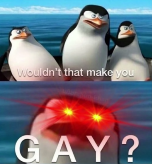Wouldn't that make you gay  meme template
