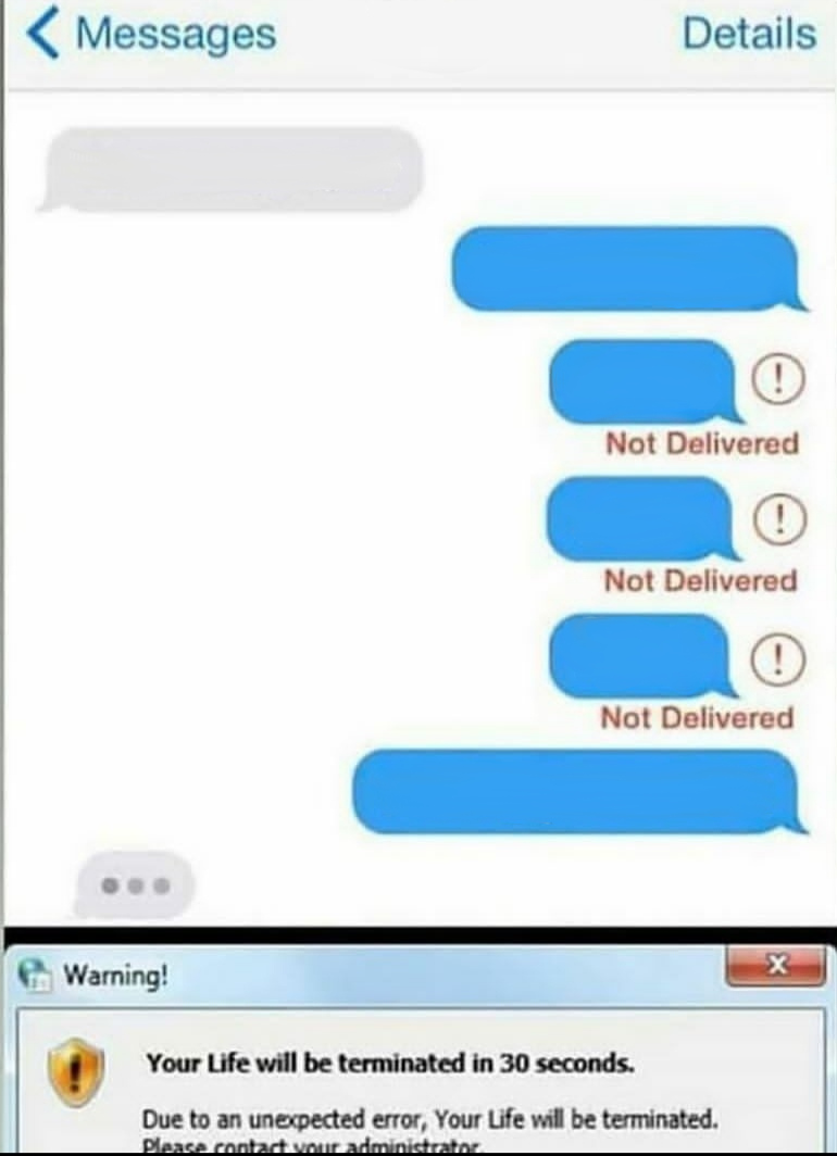 Your Life Will Be Terminated in 30 Seconds  meme template