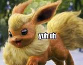 yuh uh flareon meme template